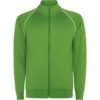 VERDE TEI