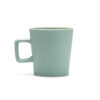 VERDE SALVIE
