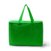 VERDE TEI