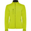 LIME PUNCH