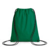 VERDE KELLY