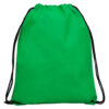 VERDE TEI
