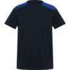 Navy/Blue Royal