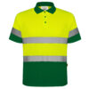 VERDE GRĂDINĂ/GALBEN FLUOR