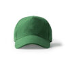 VERDE TEI
