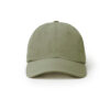 VERDE SALVIE