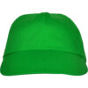 VERDE TEI