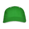 VERDE TEI
