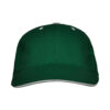 VERDE STICLĂ